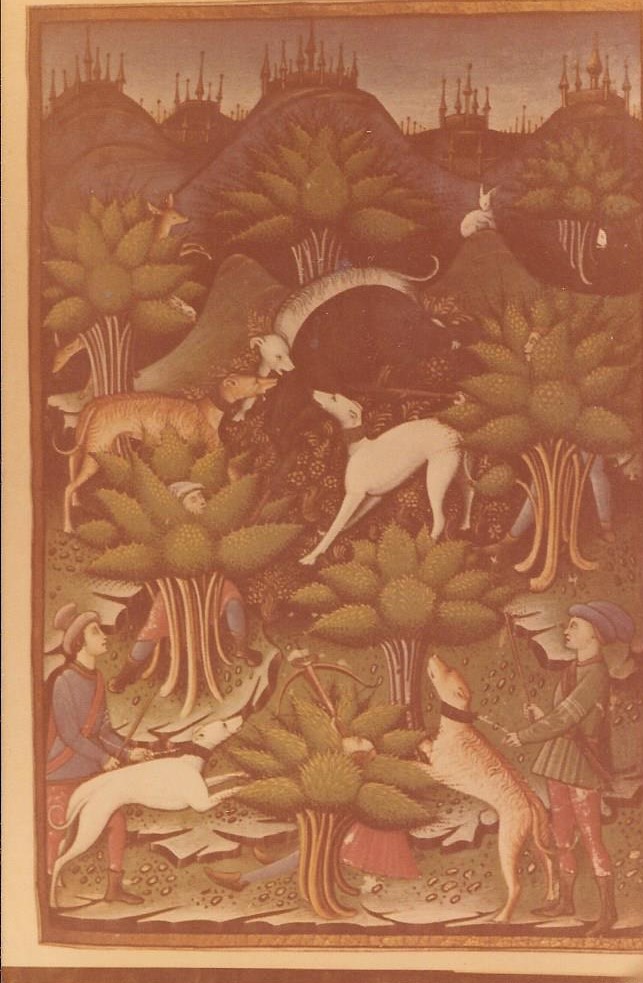 Treatise on Falconry and Venery-15th century